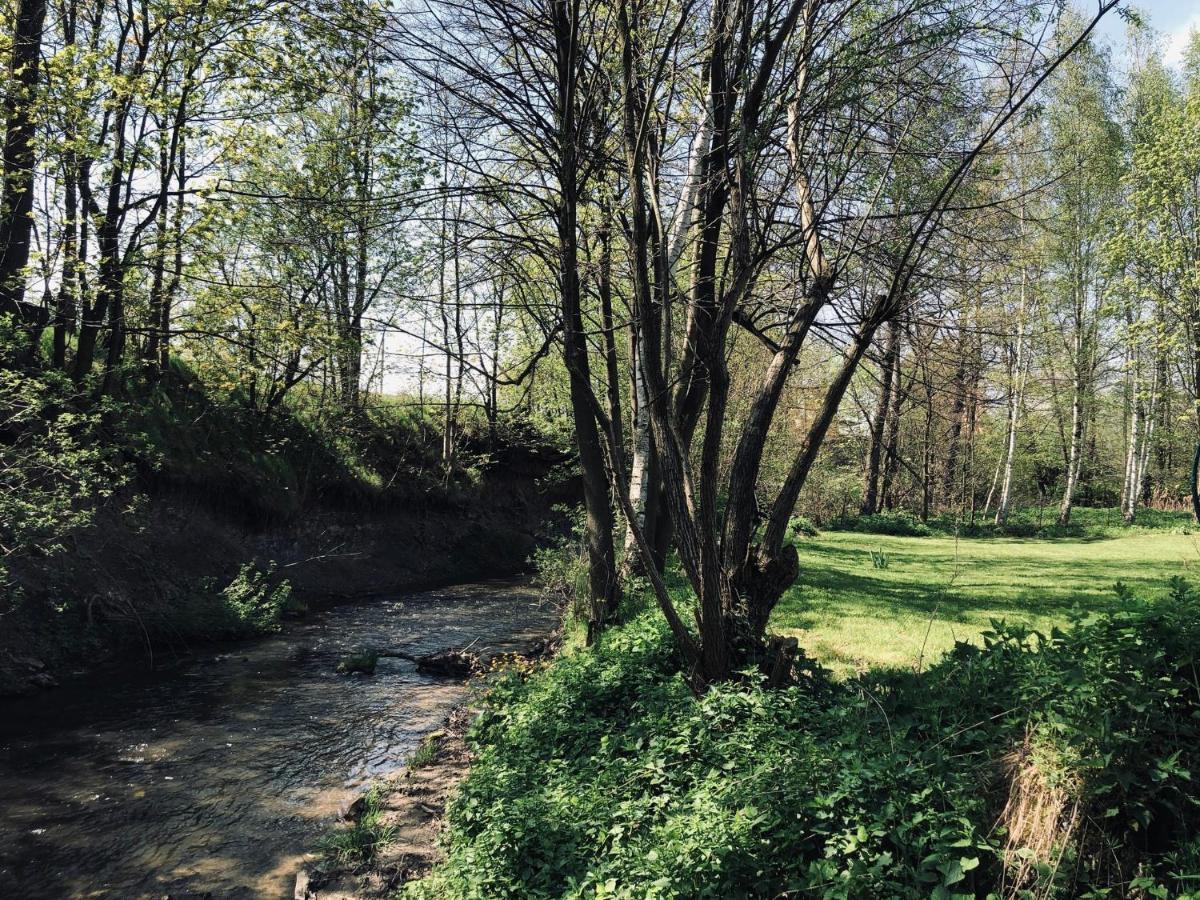 Domek Caloroczny Na Wylacznosc Niebieska Osada Nad Gorskim Potokiem Stary Waliszow Exterior foto